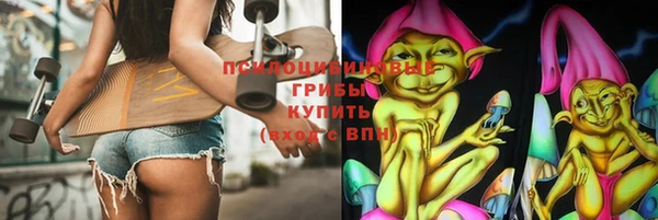 первитин Богородицк