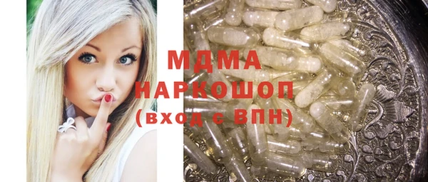 МДПВ Бородино